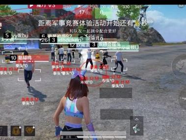 鸟人辅助玩和平精英怎么被封号了（和平精英怎么开挂不会被封号教学）